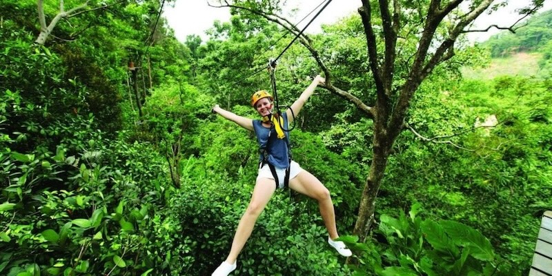 Ziplining above the rainforest