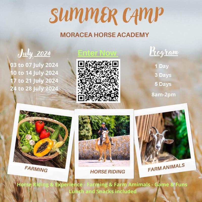 Morácea Horse Academy - Summer Camp