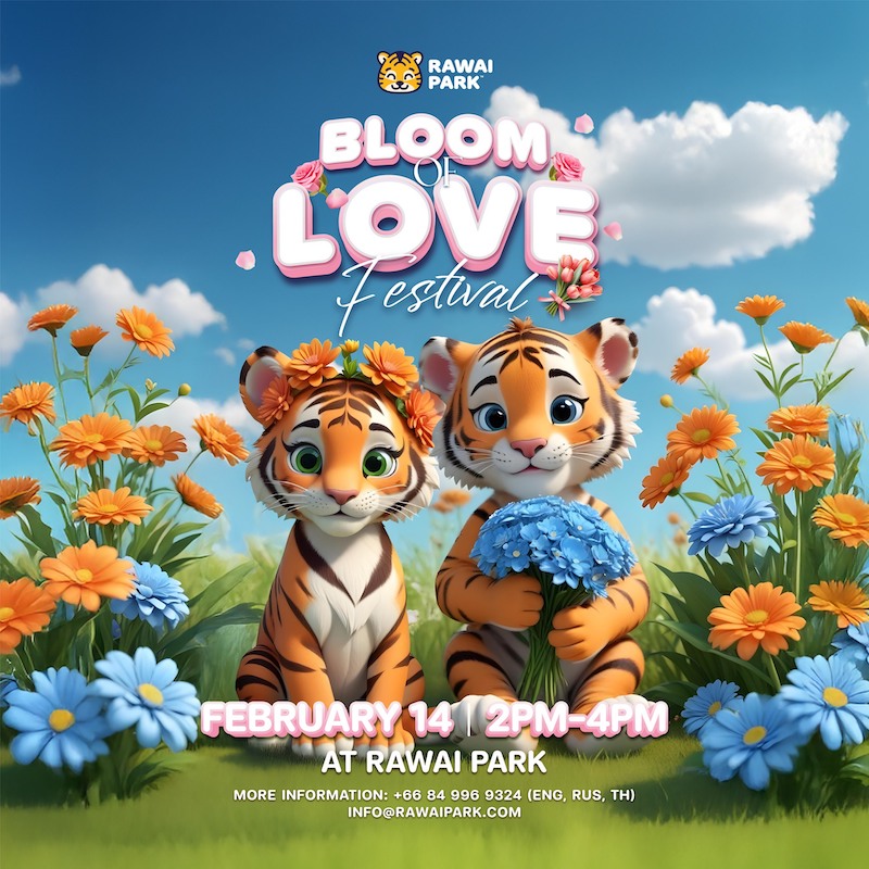 Rawai Park - Bloom of Love Festival